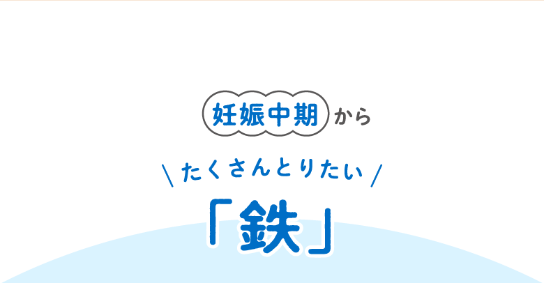 妊娠中期からたくさんとりたい「鉄」