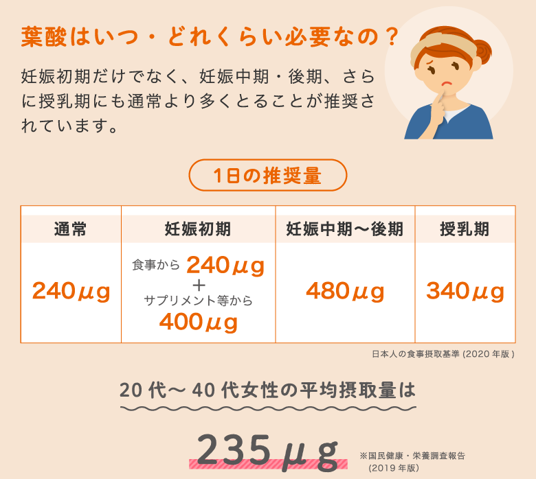 葉酸はいつ・どれくらい必要なの？妊娠初期だけでなく、娠中期・後期、さらに授乳期にも通常より多くとることが推奨されています。20代～40代女性の平均摂取量は235μg※国民健康・栄養調査報告　(2019年版）