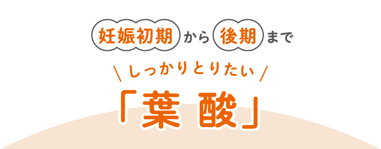 妊娠初期から後期までしっかりとりたい「葉酸」